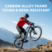 A mountain biker in a red jacket and black helmet rides a blue mountain bike over a rocky trail with mountains in the background. Large white text at the top reads 'CARBON-AlLOY FRAME TOUGH & BEND-RESISTANT'.