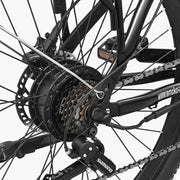 Close-up of a bicycle rear wheel showing a Shimano rear cassette, chain guard, chain, and frame with Shimano branding on a clean white background.