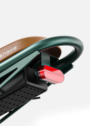 ENGWE M20 DB