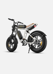 ENGWE M20 DB