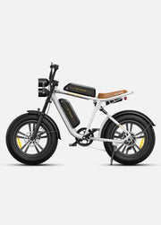 ENGWE M20 DB