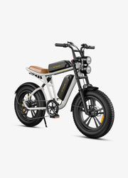 ENGWE M20 DB